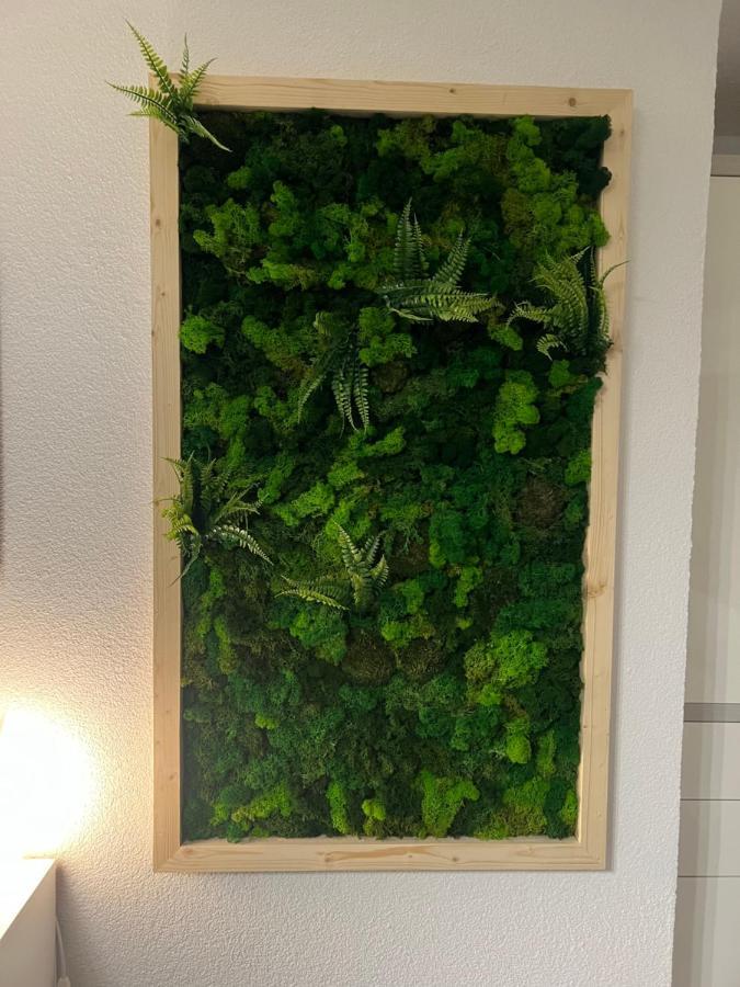 Appartement Bergwaerts Rickenbach  Esterno foto