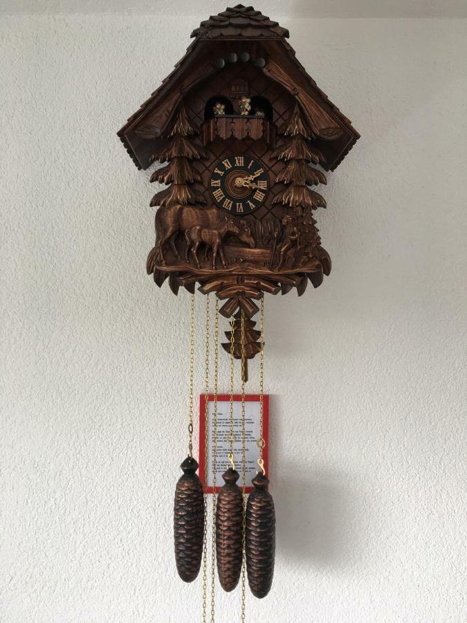 Appartement Bergwaerts Rickenbach  Esterno foto