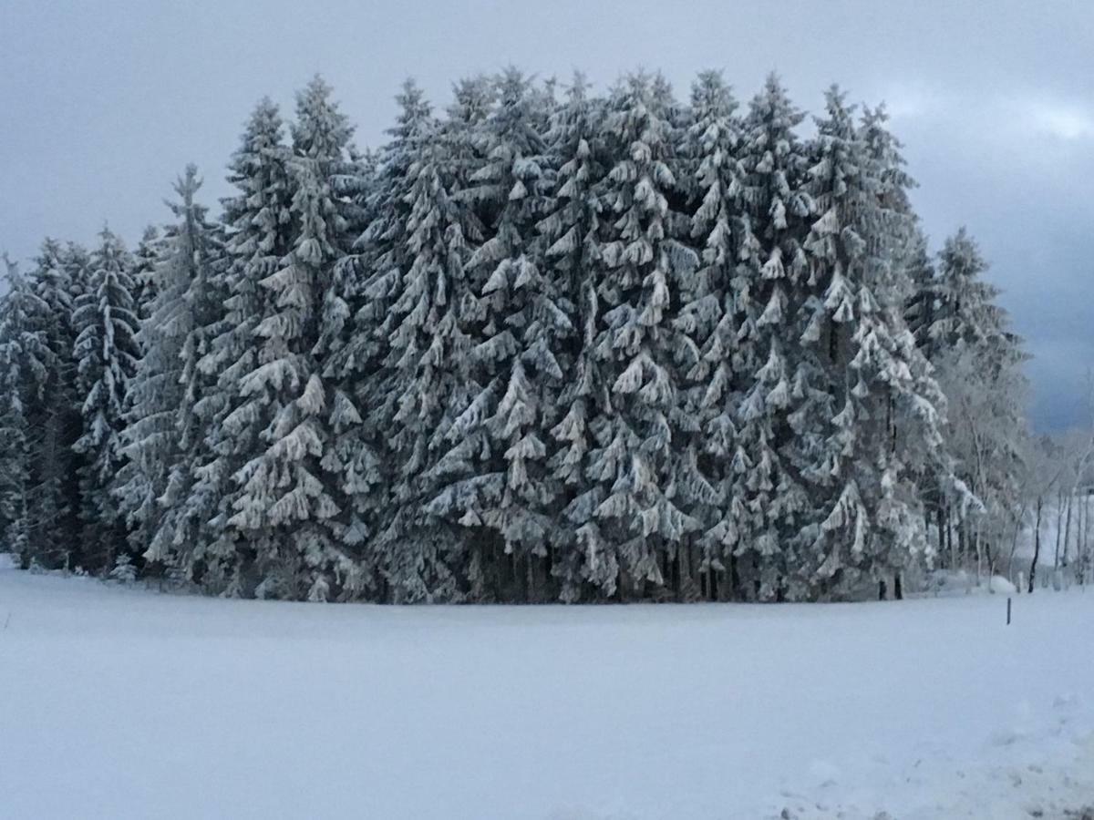 Appartement Bergwaerts Rickenbach  Esterno foto