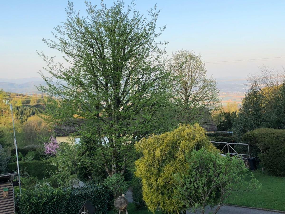 Appartement Bergwaerts Rickenbach  Esterno foto